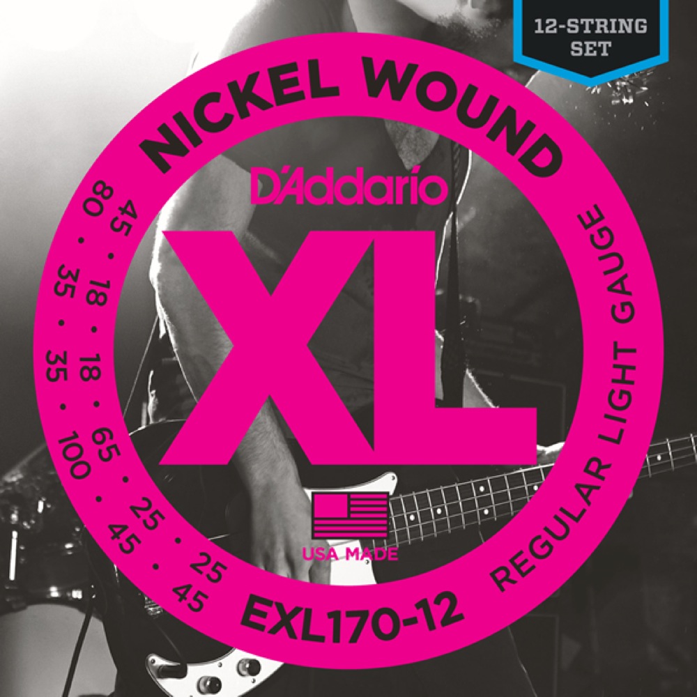 D'Addario EXL170-12 12st/Long 018-100 ベース弦
