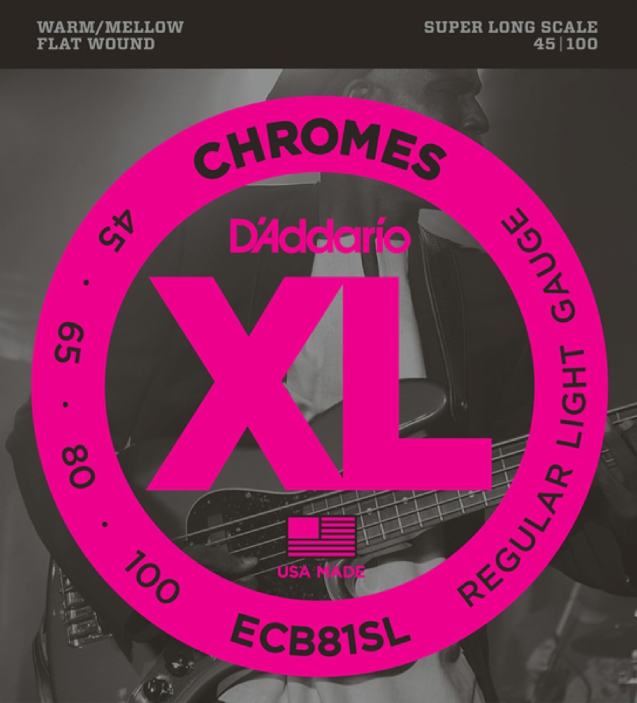 D'Addario ECB81SL S.Long 045-100 ベース弦