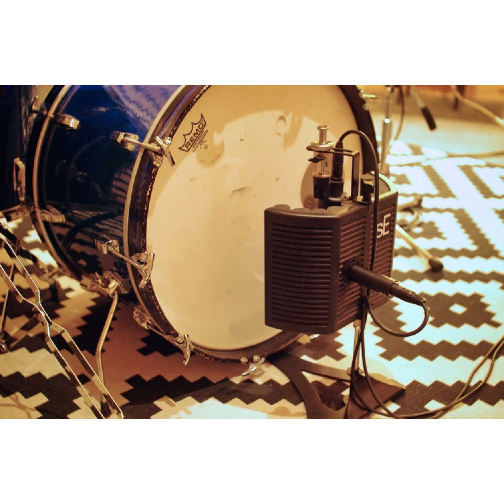 sE ELECTRONICS guitaRF リフレクションフィルター 使用例