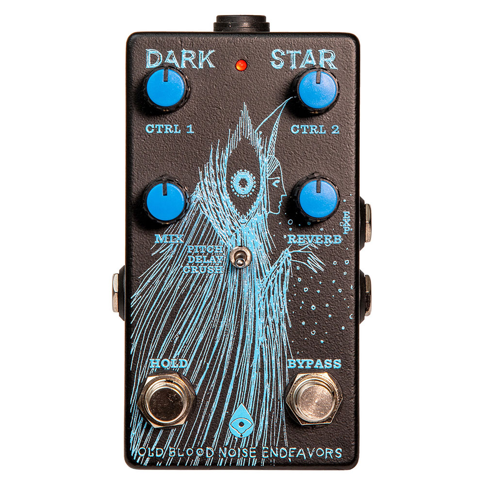 Old Blood Noise Endeavors Dark Star リバーブ ギターエフェクター