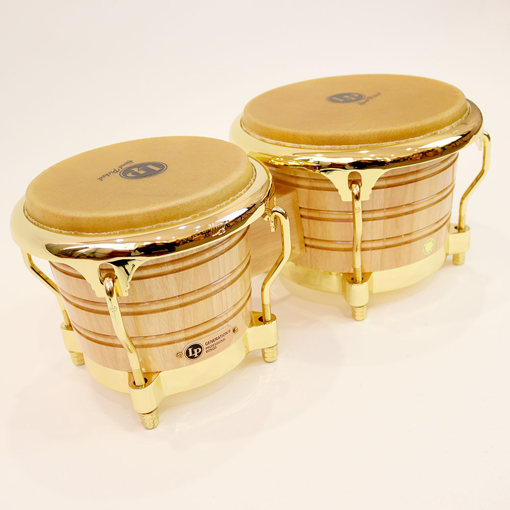 LP LP201AX-2AW Generation II Bongos ボンゴ 全体画像