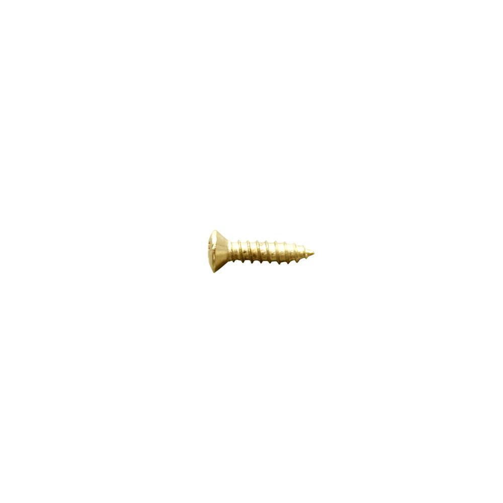 SCUD W-PFG 12P インチ ゴールド ピックガード用 ネジ