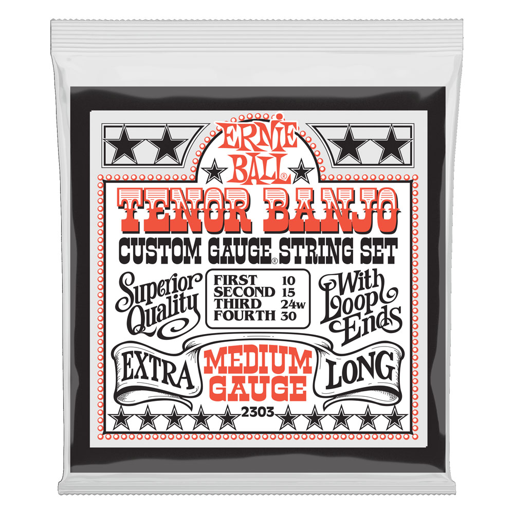 ERNIE BALL 2303 Medium Loop End Stainless Steel 10-30 Gauge テナーバンジョー弦
