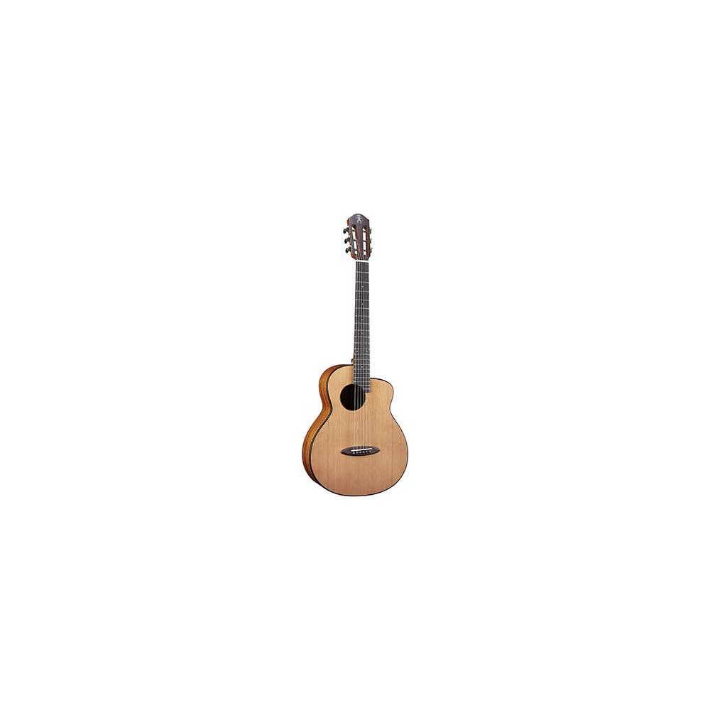 aNueNue Bird Guitar aNN-MV114E ミニアコースティックギター