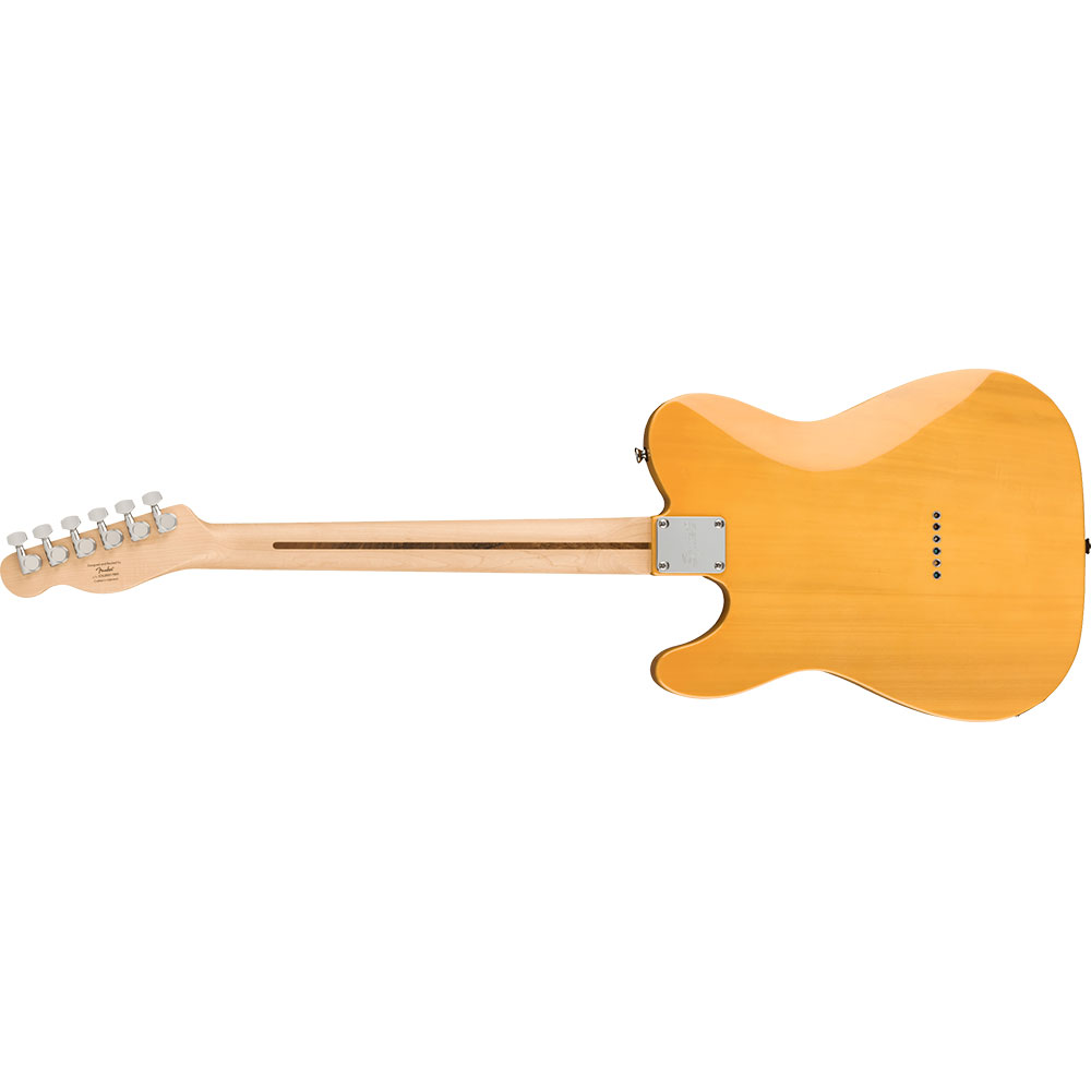 Squier Affinity Series Telecaster BTB エレキギター ボディバック画像
