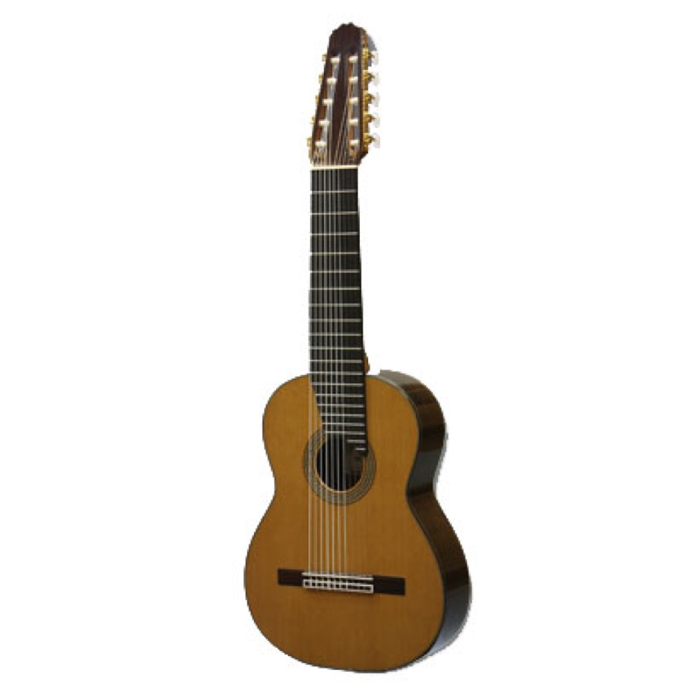 ASTURIAS 10-STRING 10弦 クラッシクギター