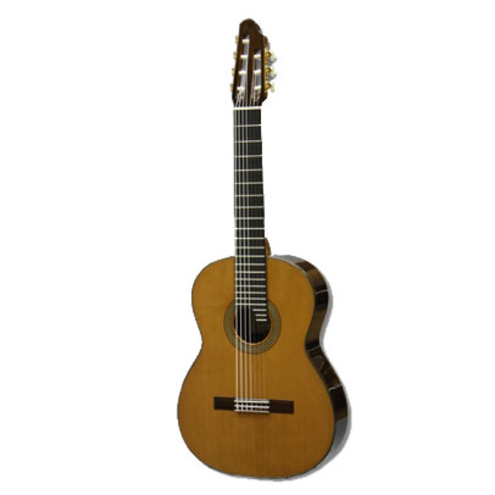 ASTURIAS 7-STRING 7弦 クラッシクギター