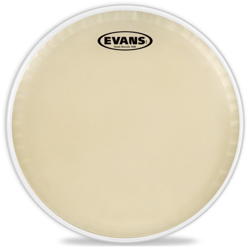 EVANS CT14SS Strata Staccato 1000 Concert Snare Head ドラムヘッド