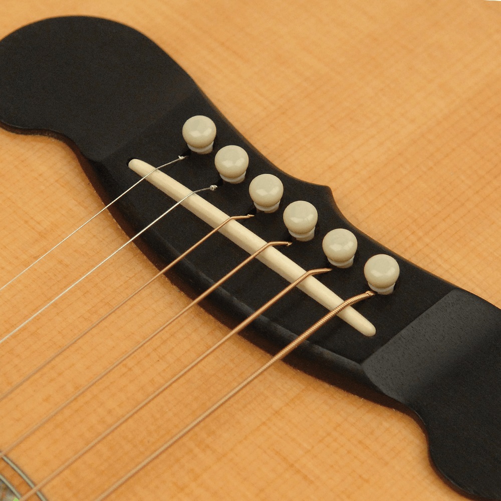 Planet Waves by D’Addario PWPS11 Ivory ブリッジピン＆エンドピンセット 使用例画像