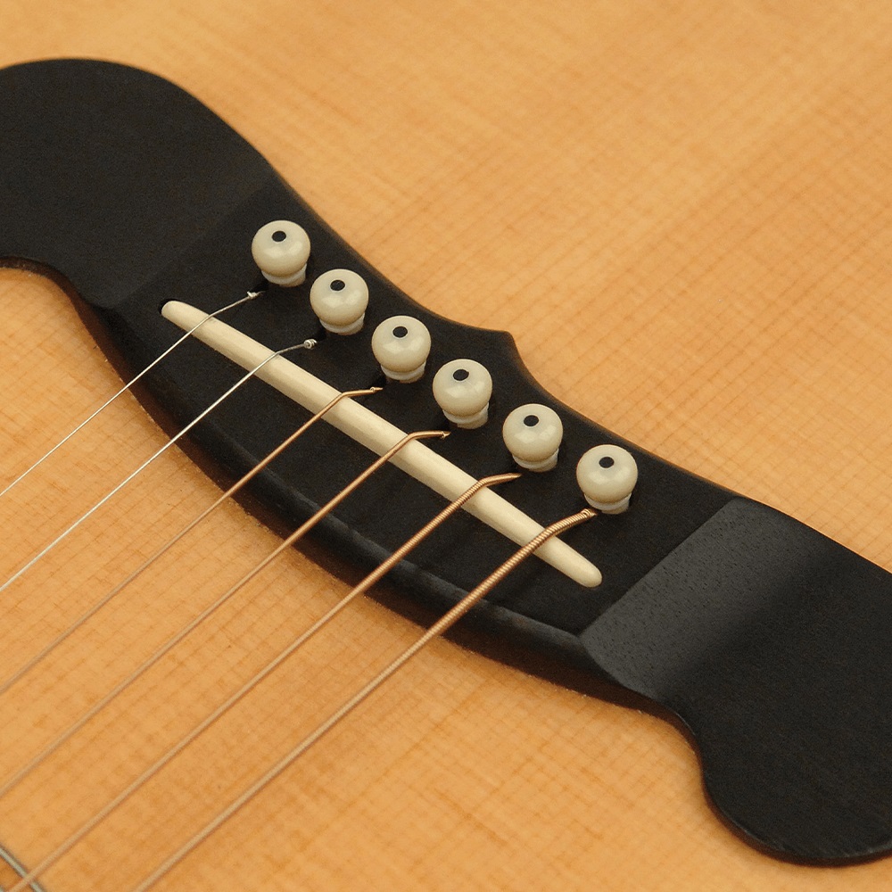 Planet Waves by D’Addario PWPS12 Ivory with Ebony Dot ブリッジピン＆エンドピンセット 使用例画像