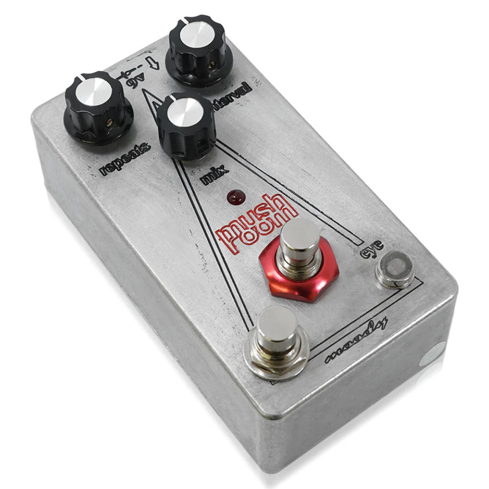 Moody Sounds Mushroom Echo V4 ディレイ ギターエフェクター 本体画像 斜め