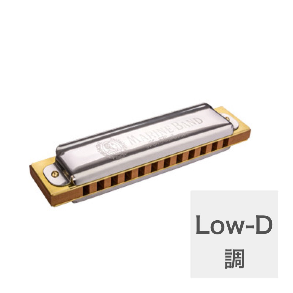 HOHNER Marine Band 364/24 Low-D 12ホールハーモニカ