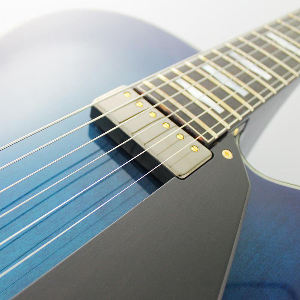 FUJIGEN MFA-FP/BBT Masterfield MFA フルアコギター MFA-FP/BBT ピックアップ画像
