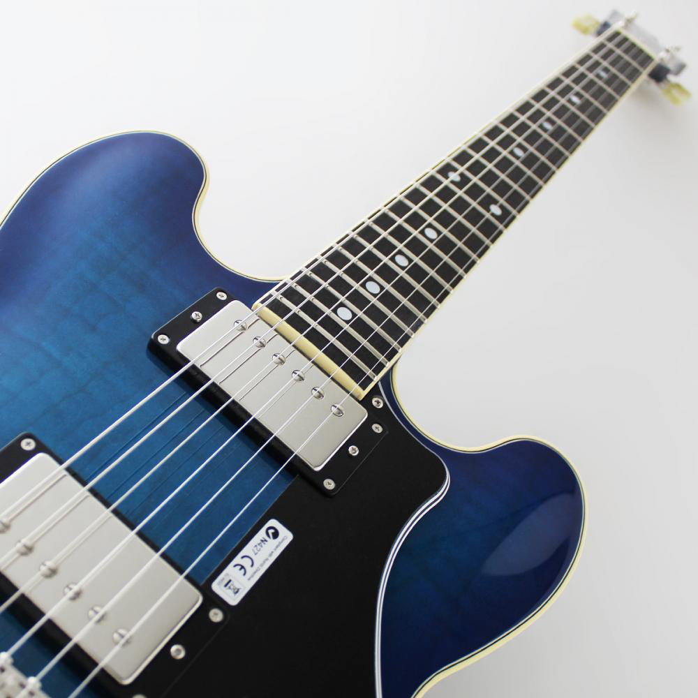 FUJIGEN MSA-HP/BBT Masterfield MSA セミアコギター MSA-HP/BBT ネック部画像