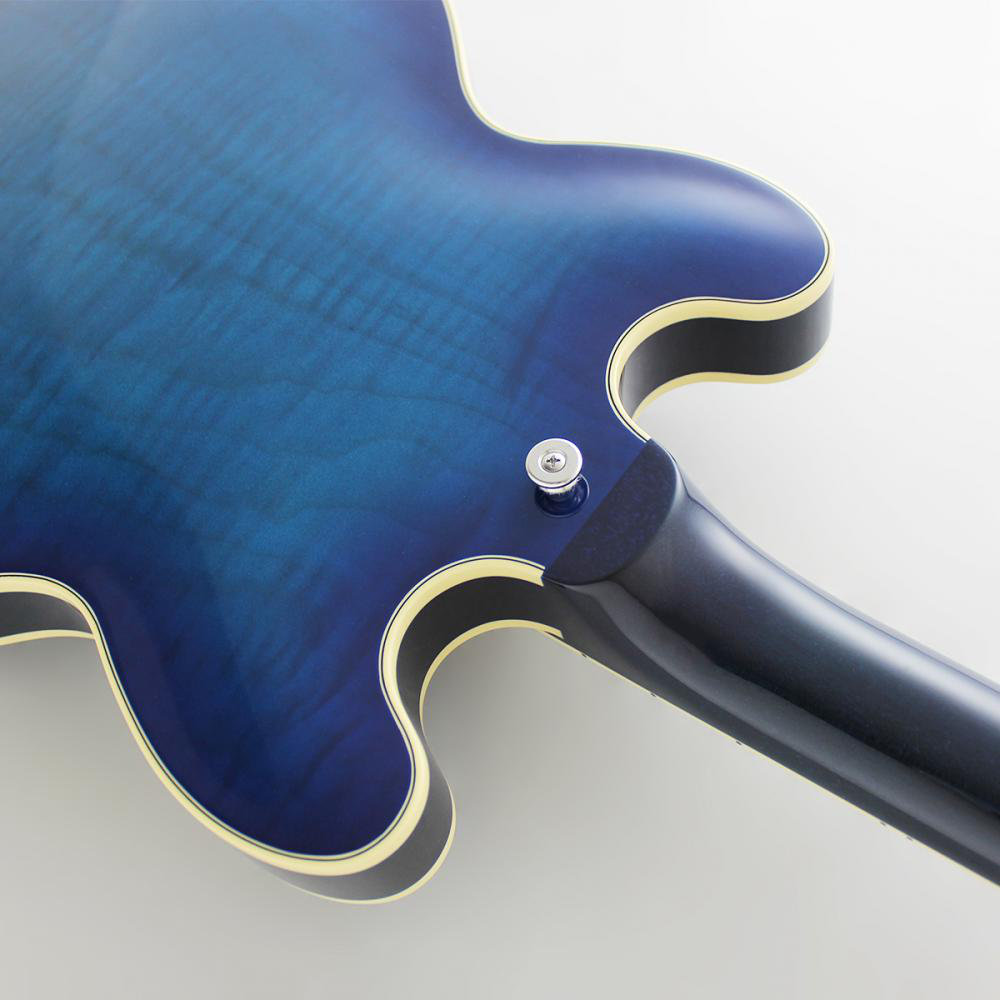 FUJIGEN MSA-HP/BBT Masterfield MSA セミアコギター MSA-HP/BBT ボディバック部画像