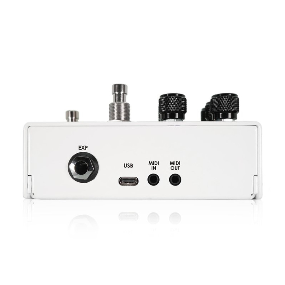 Matthews Effects SURGEON DELAY ディレイ ギターエフェクター 側面 画像