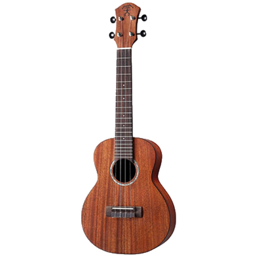 aNueNue aNN-T3E Solid Mahogany テナーウクレレ