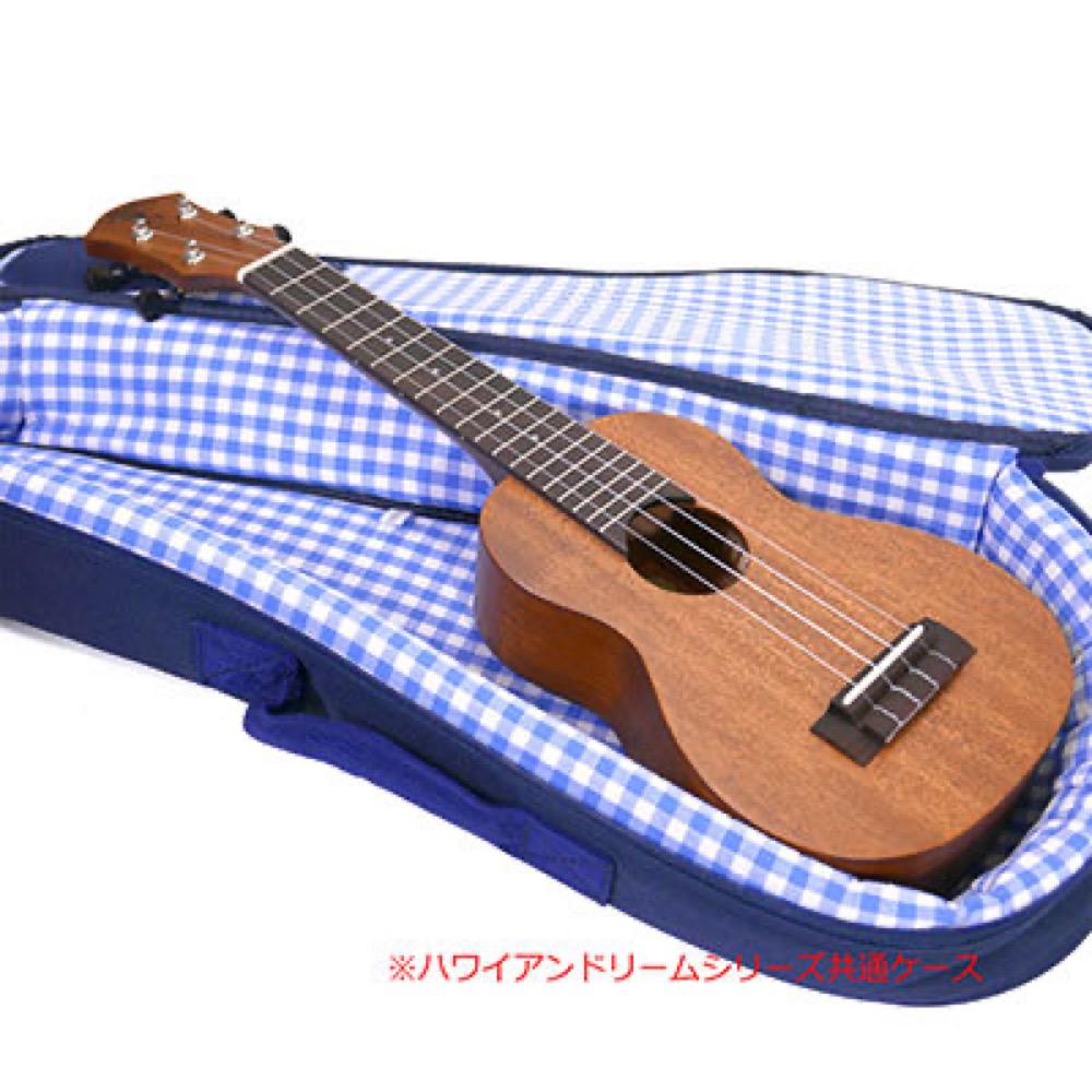 aNueNue aNN-T30E Hawaiian Dream Africa Mahogany III E テナーウクレレ ケース、本体画像
