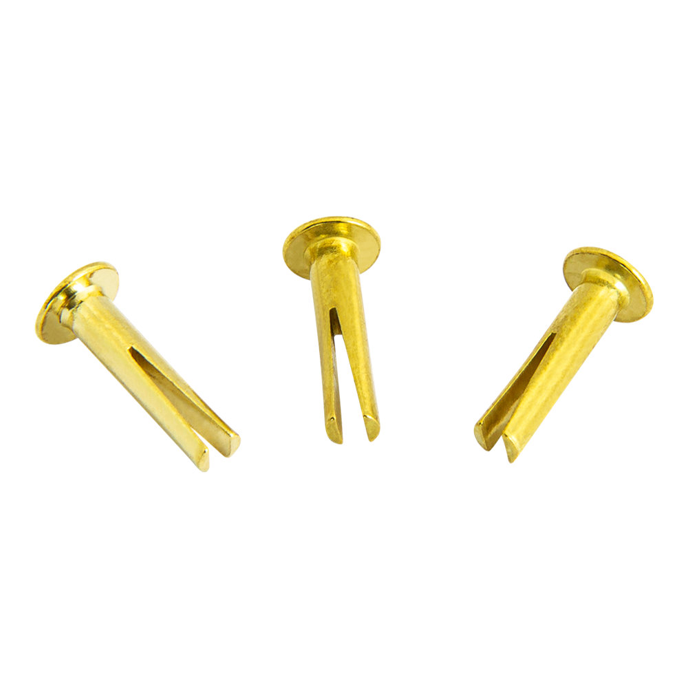 MEINL マイネル CY-RIVET-BR シズラーリベット ブラス
