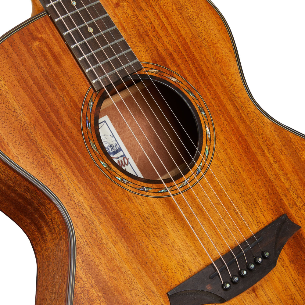 Bromo Guitars ブロモギターズ BAT4MCE TAHOMA SERIES エレクトリックアコースティックギター ホール画像
