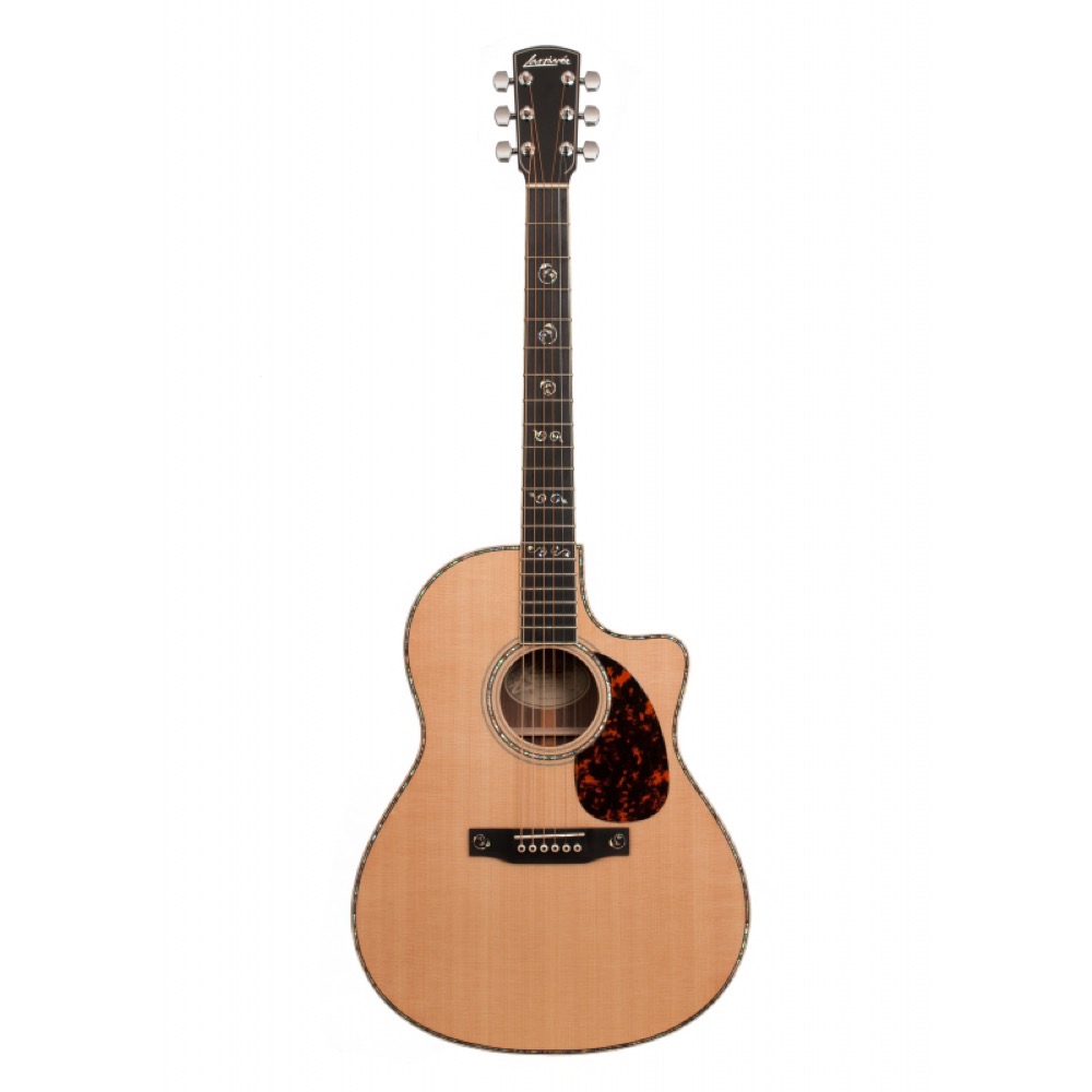 Larrivee ラリビー LV-10 Deluxe Series アコースティックギター