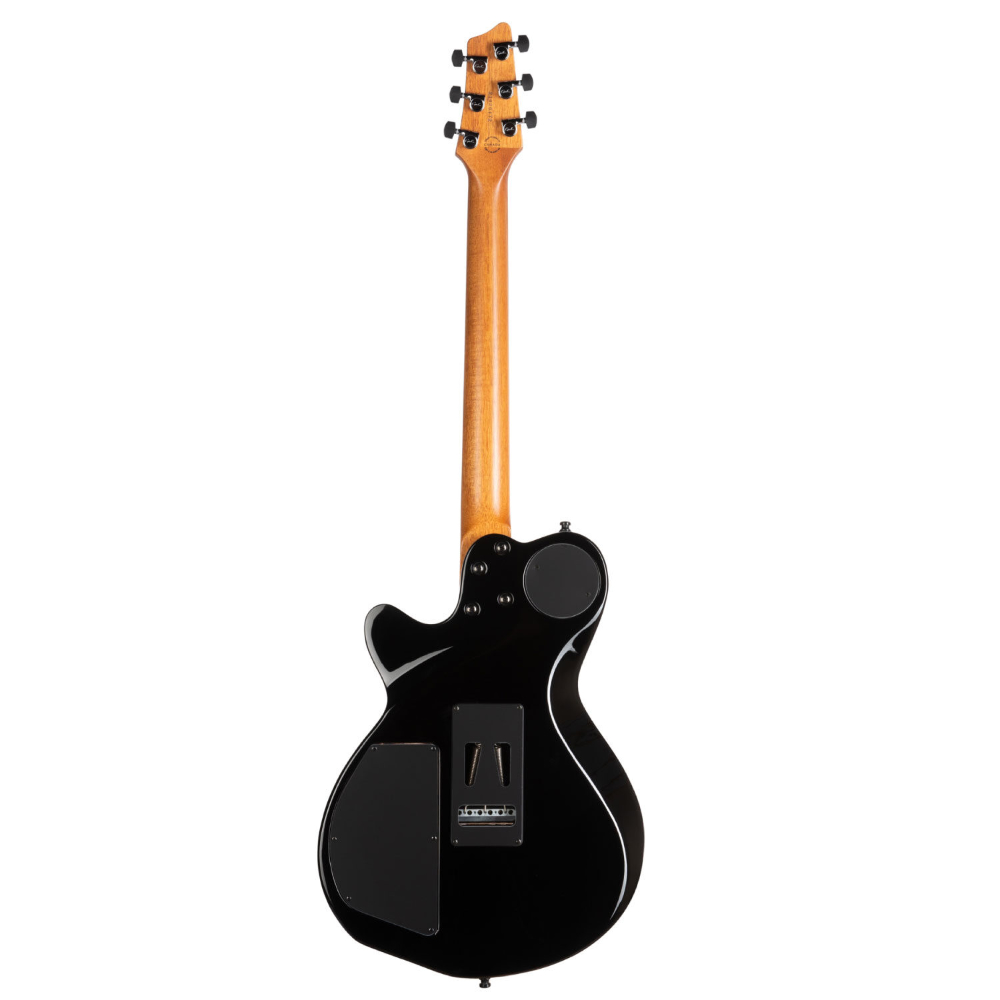 Godin ゴダン LGXT Cognac Burst Flame AA エレキギター ボディバック画像