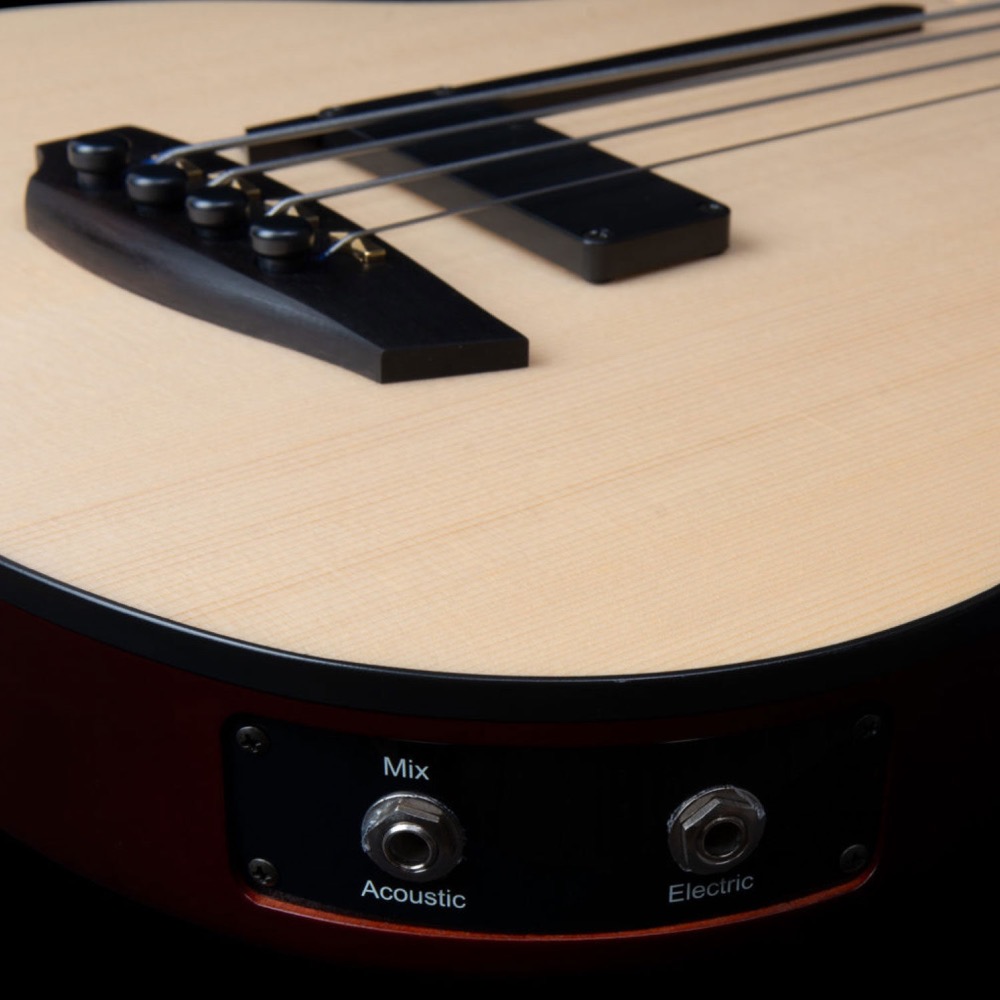 Godin ゴダン A4 Ultra Natural Fretless A/E エレクトリック セミアコースティックベース プラグイン画像