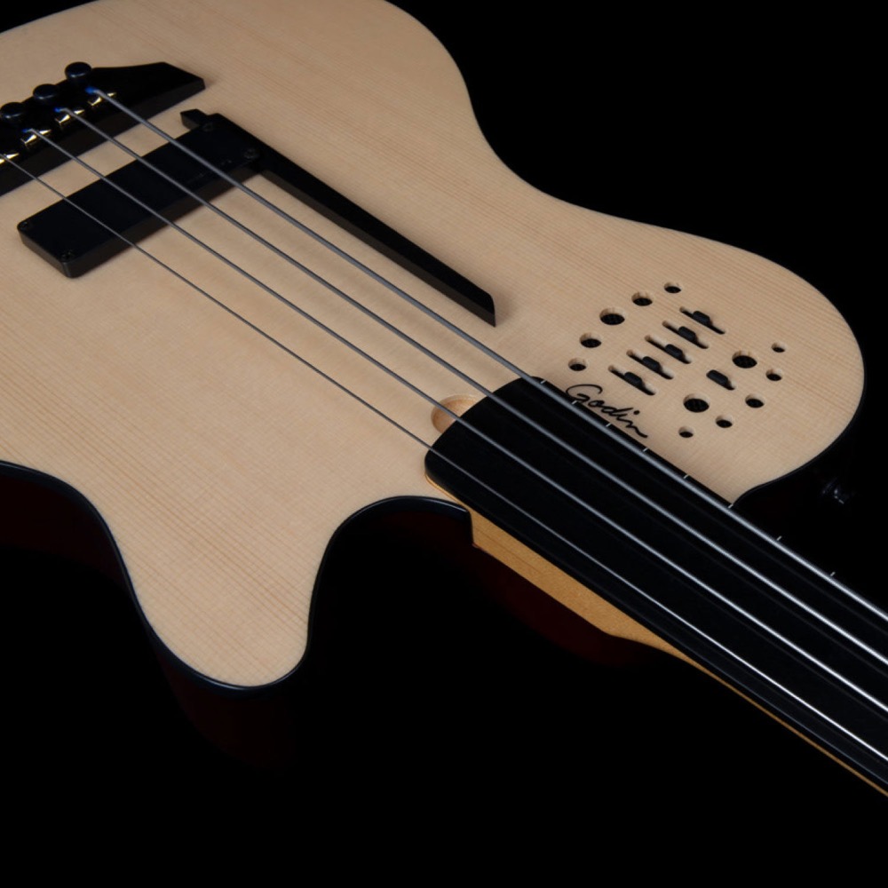 Godin ゴダン A4 Ultra Natural Fretless A/E エレクトリック セミアコースティックベース 平置き画像