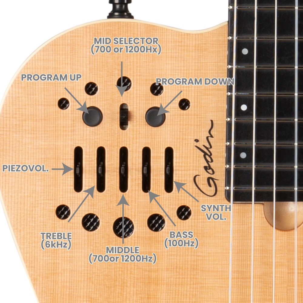 Godin ゴダン ACS Nylon Natural SG ナイロン弦 エレガットギター コントロール詳細画像