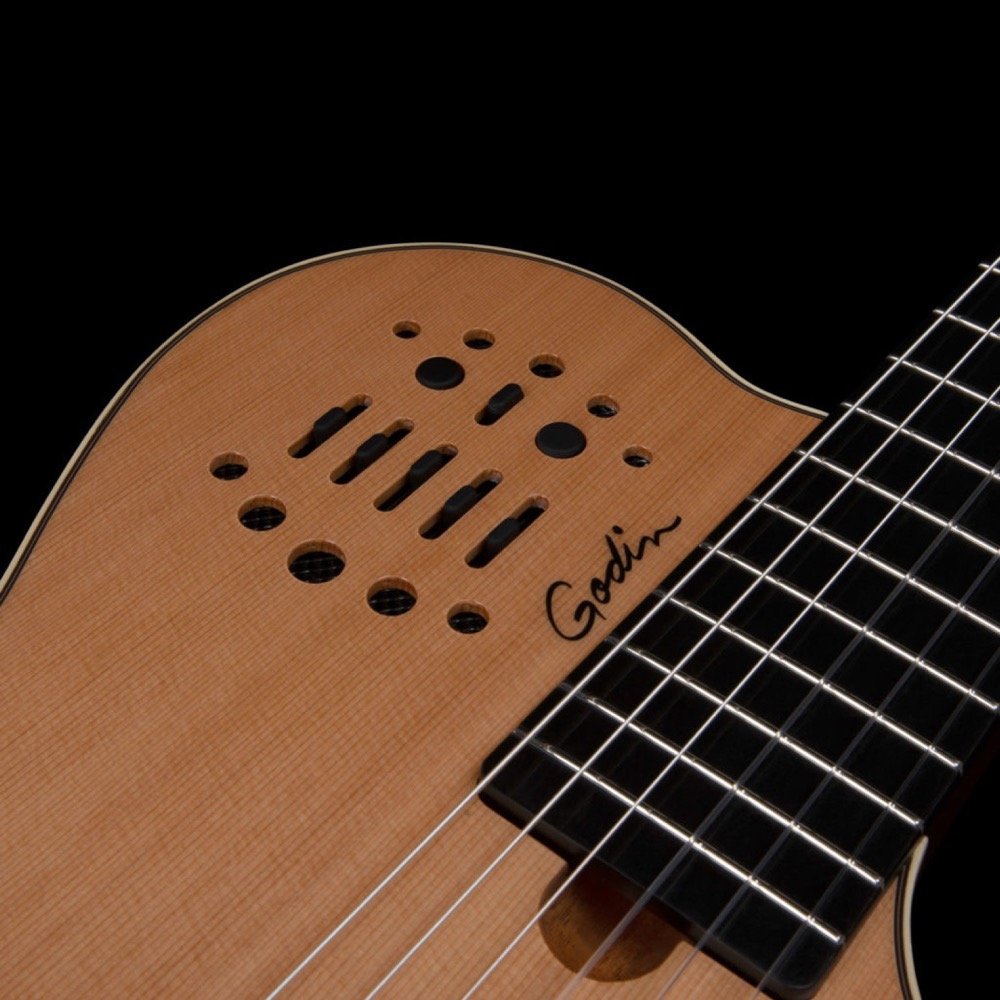 Godin ゴダン Multiac Grand Concert SA Natural HG ナイロン弦 エレガットギター コントロール画像