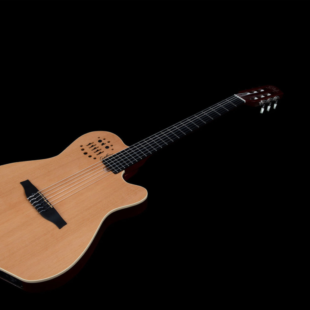 Godin ゴダン ACS SLIM Nylon Natural SG エレガットギター ボディトップ画像