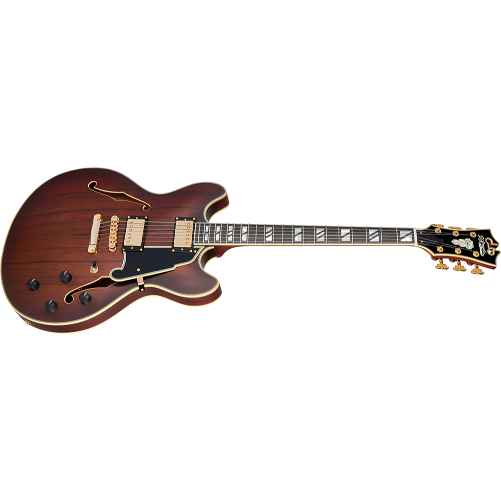 D’Angelico ディアンジェリコ Deluxe DC Satin Brown Burst エレキギター セミアコ 斜めアングル画像