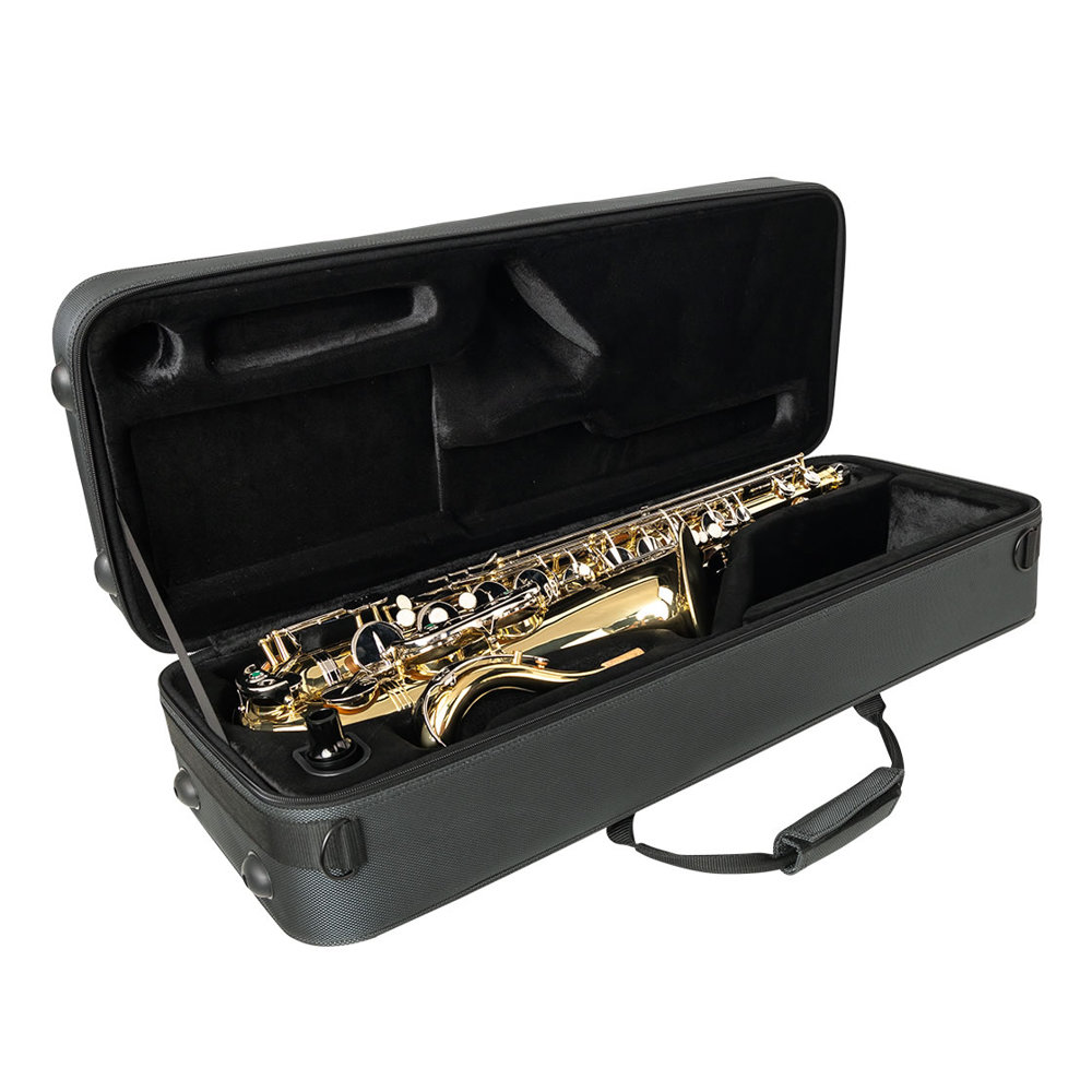 GATOR ゲイター GL-ALTOSAX-R23 Adagio アルトサックス用ケース 正面画像