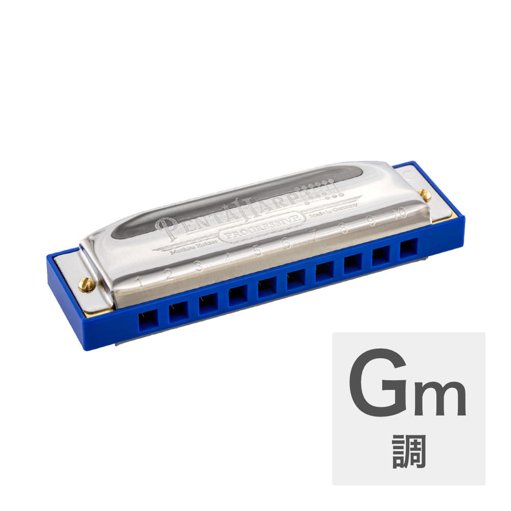 HOHNER ホーナー Penta Harp Gマイナー 10穴ハーモニカ ブルースハープ