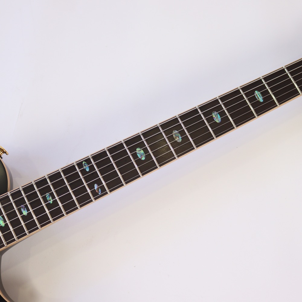 APII PE-5350GE/SH MTBK エレキギター 指板画像