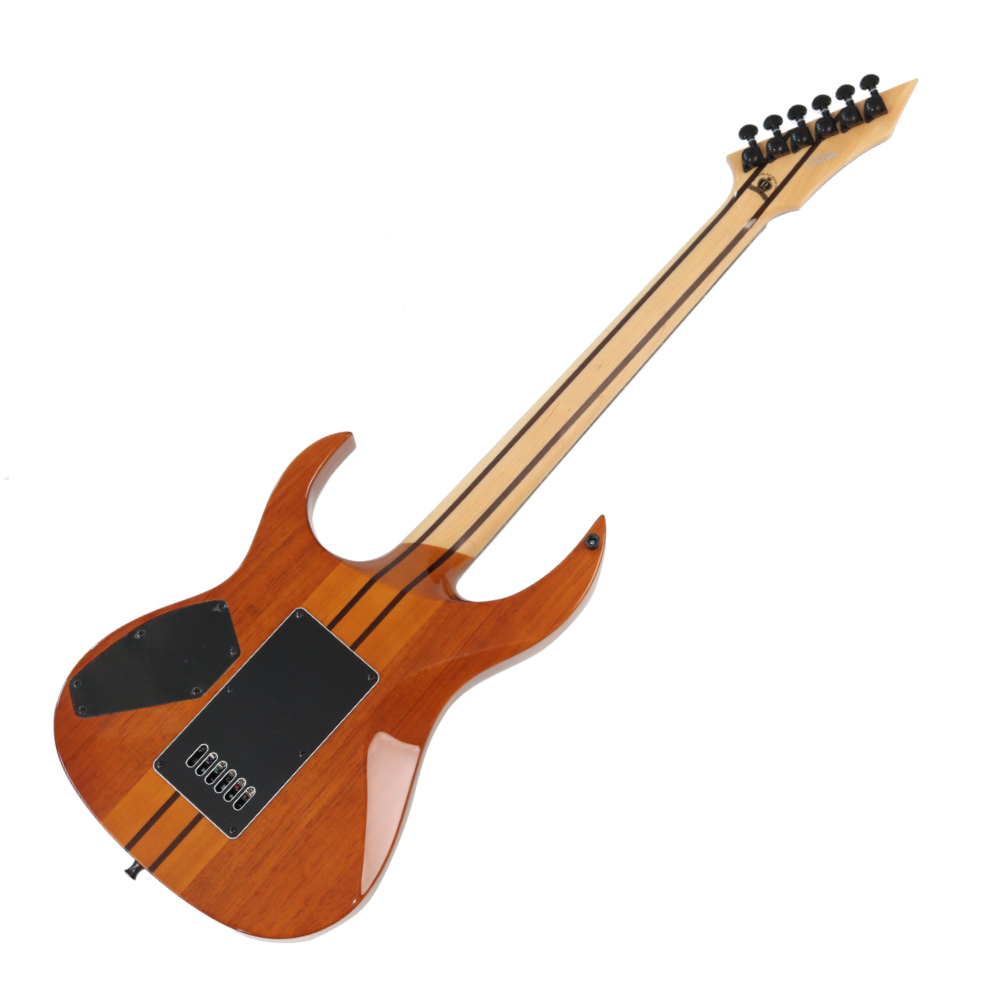 【訳あり】 アウトレット B.C.Rich SHREDZILLA PROPHECY ARCHTOP WITH EVERTUNE English Walnut エレキギター ボディバック画像 