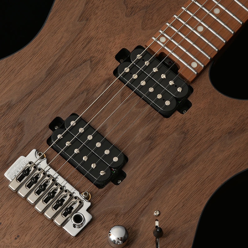 BACCHUS バッカス Japan Tune-up Series TACTICS24-WN RSM/M NAS エレキギター ピックアップ画像