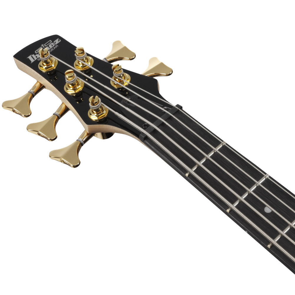 IBANEZ アイバニーズ GSR205PC-TMU Gio Transparent Marine Burst 5弦エレキベース ヘッド画像