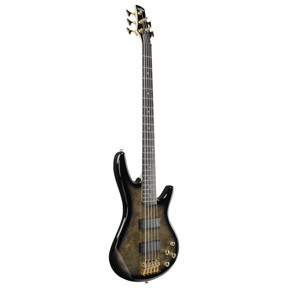 IBANEZ アイバニーズ GSR205PC-TPB Gio Transparent Pale Black Burst 5弦エレキベース 斜めアングル画像