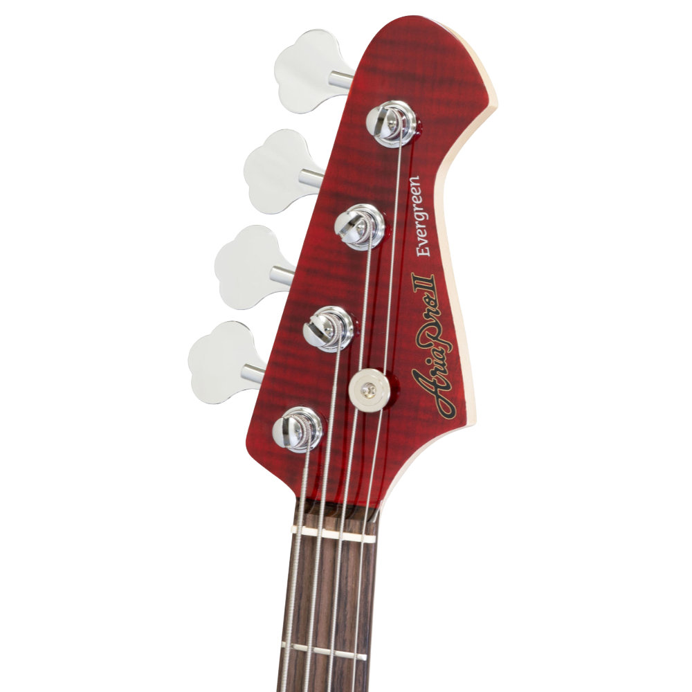AriaProII STB-AE200 SR Aria Evergreen エレキベース ヘッド