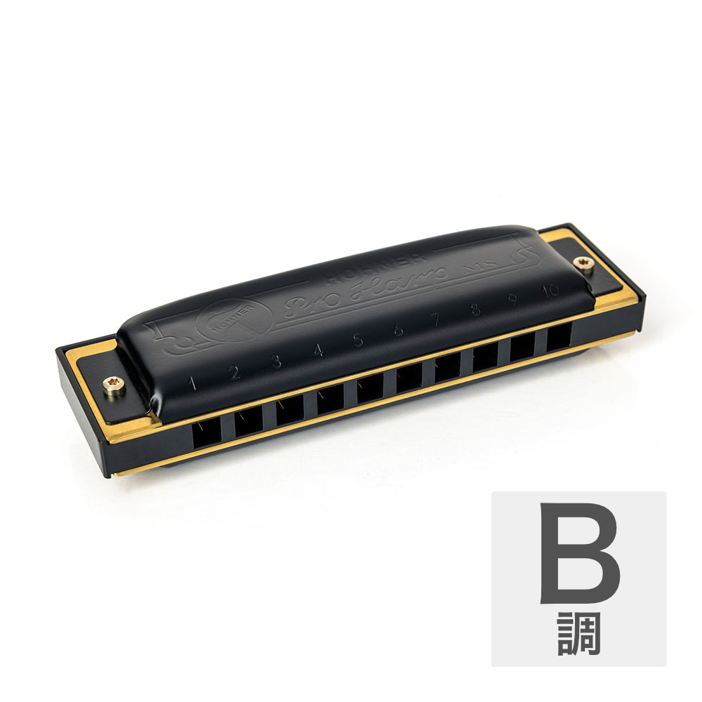 HOHNER ホーナー Pro Harp 562/20P B 10ホールハーモニカ ブルースハープ