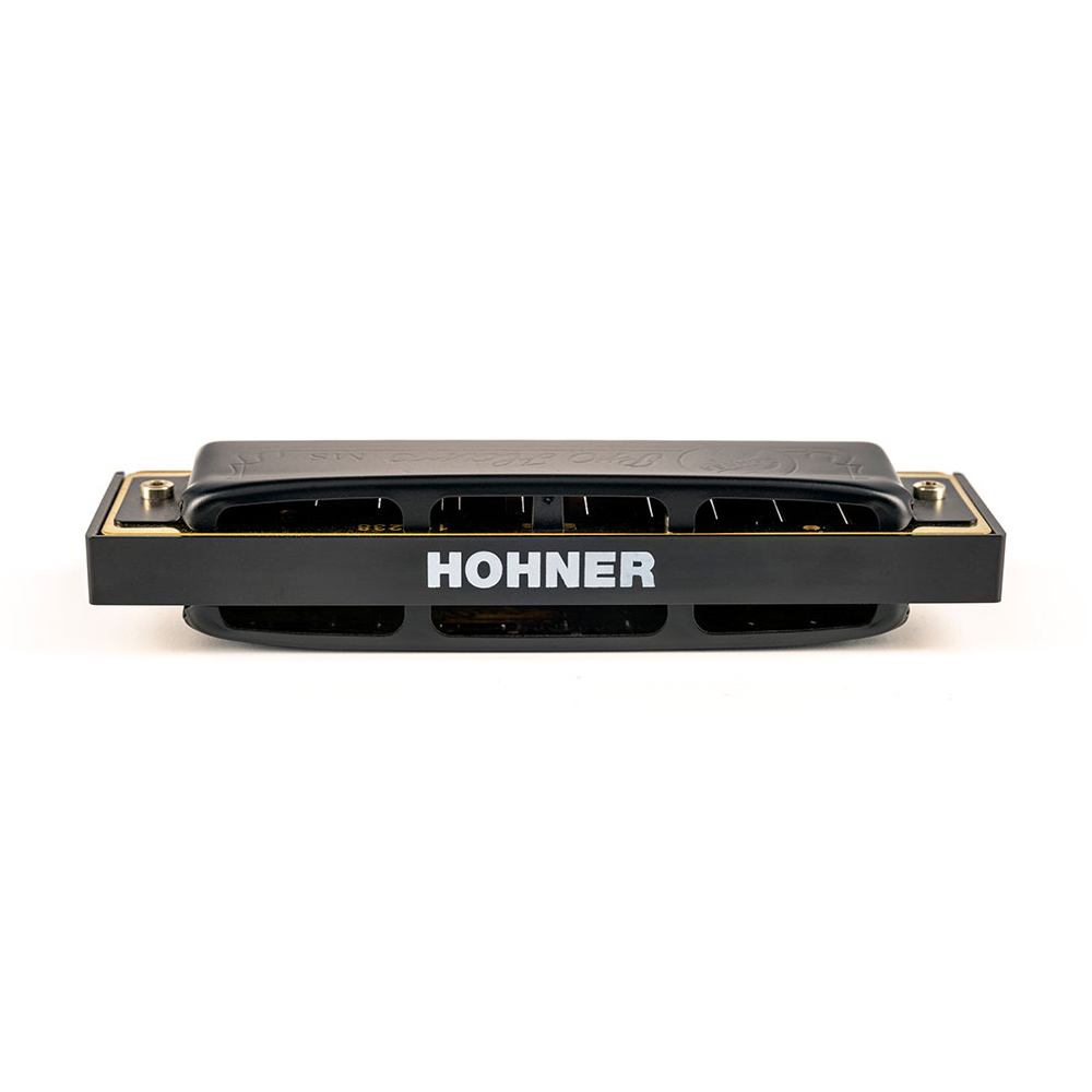 HOHNER ホーナー Pro Harp 562/20P B 10ホールハーモニカ ブルースハープ リア画像