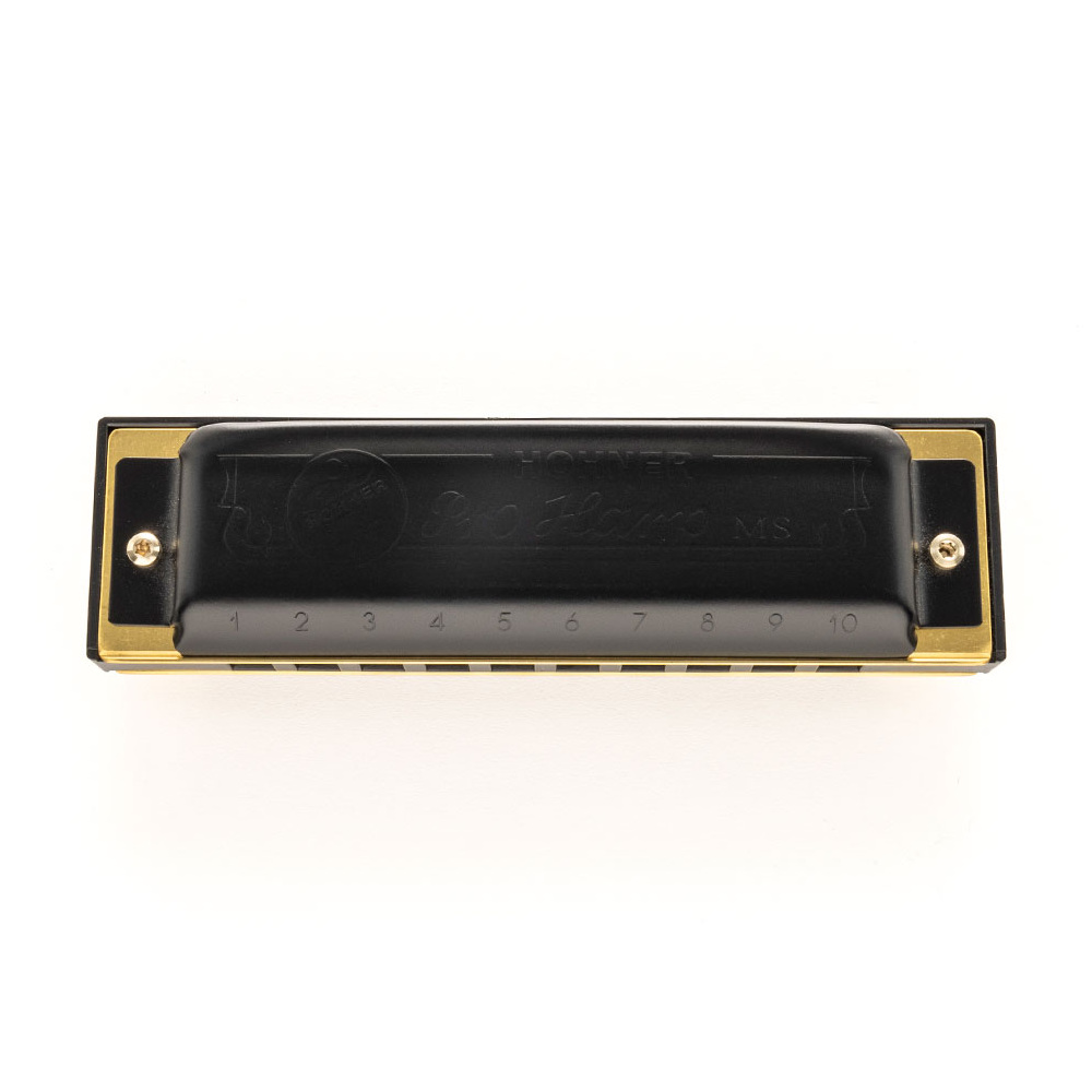 HOHNER ホーナー Pro Harp 562/20P B 10ホールハーモニカ ブルースハープ トップ画像