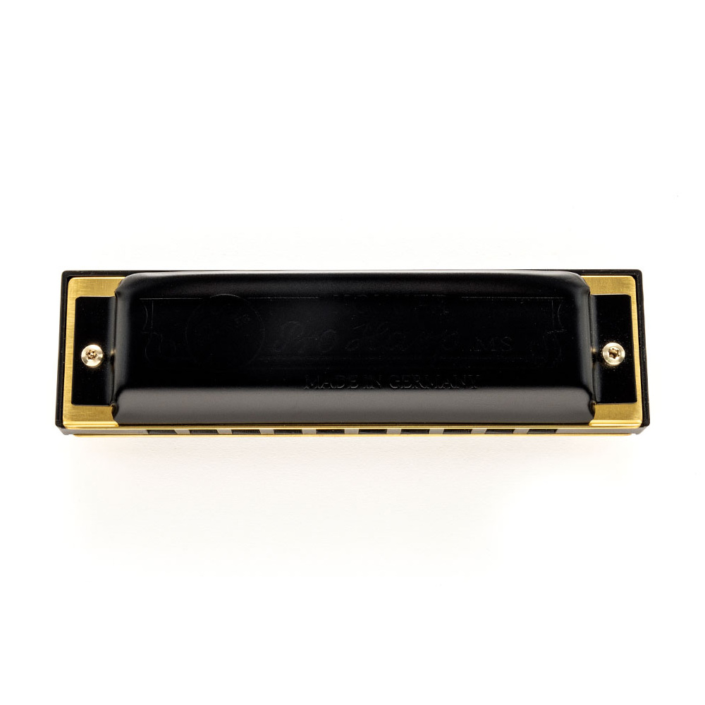 HOHNER ホーナー Pro Harp 562/20P E 10ホールハーモニカ ブルースハープ ボトム画像