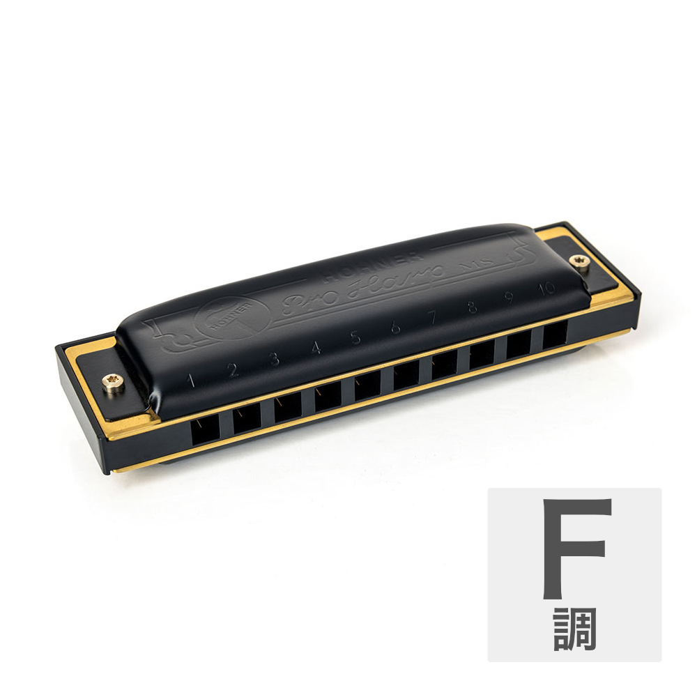 HOHNER ホーナー Pro Harp 562/20P F 10ホールハーモニカ ブルースハープ