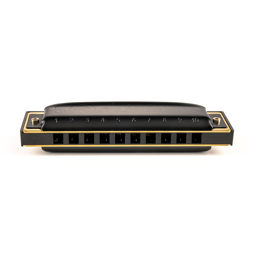 HOHNER ホーナー Pro Harp 562/20P D♭ 10ホールハーモニカ ブルースハープ フロント画像
