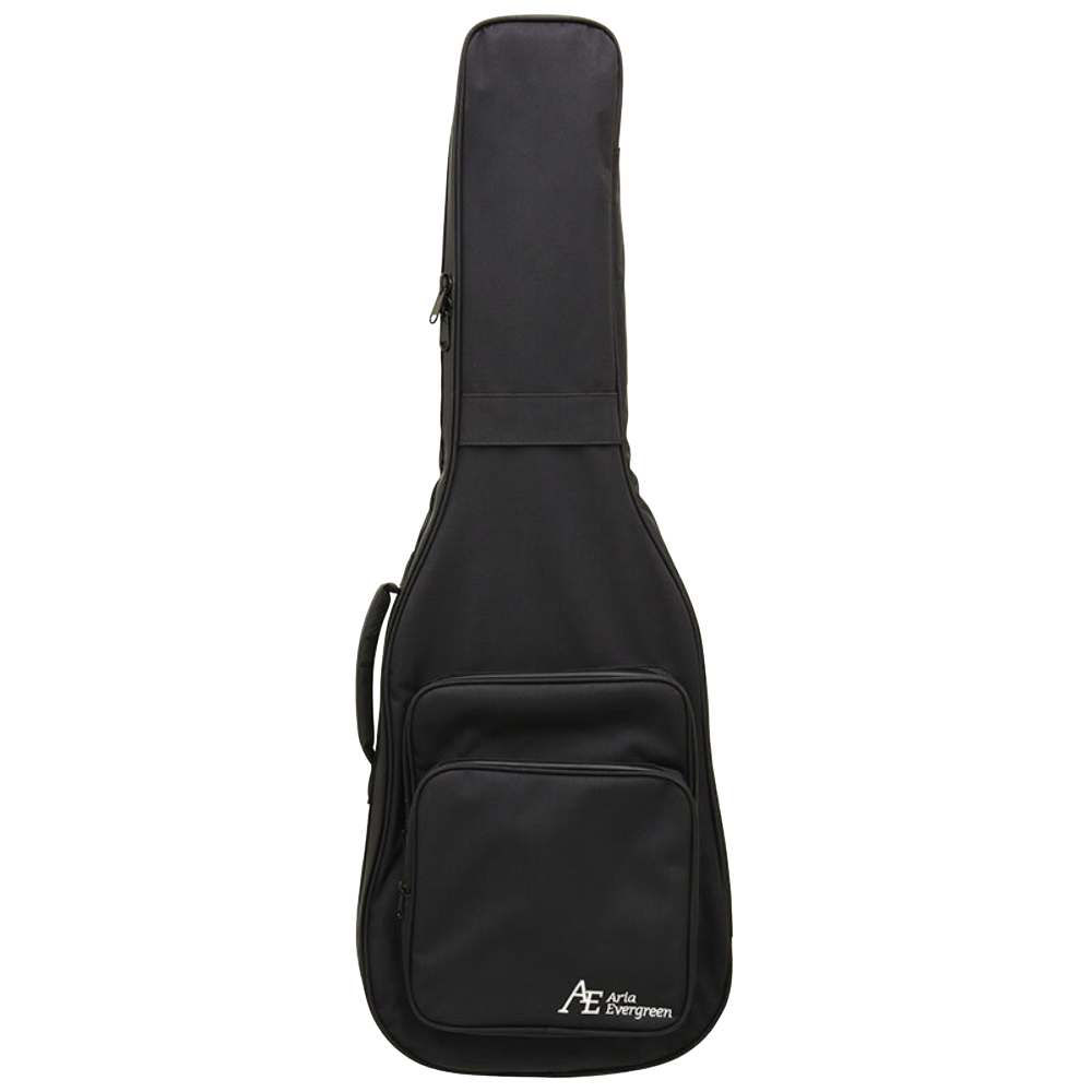AriaProII アリアプロII PE-AE200 MBWH Aria Evergreen エレキギター 付属ケース画像