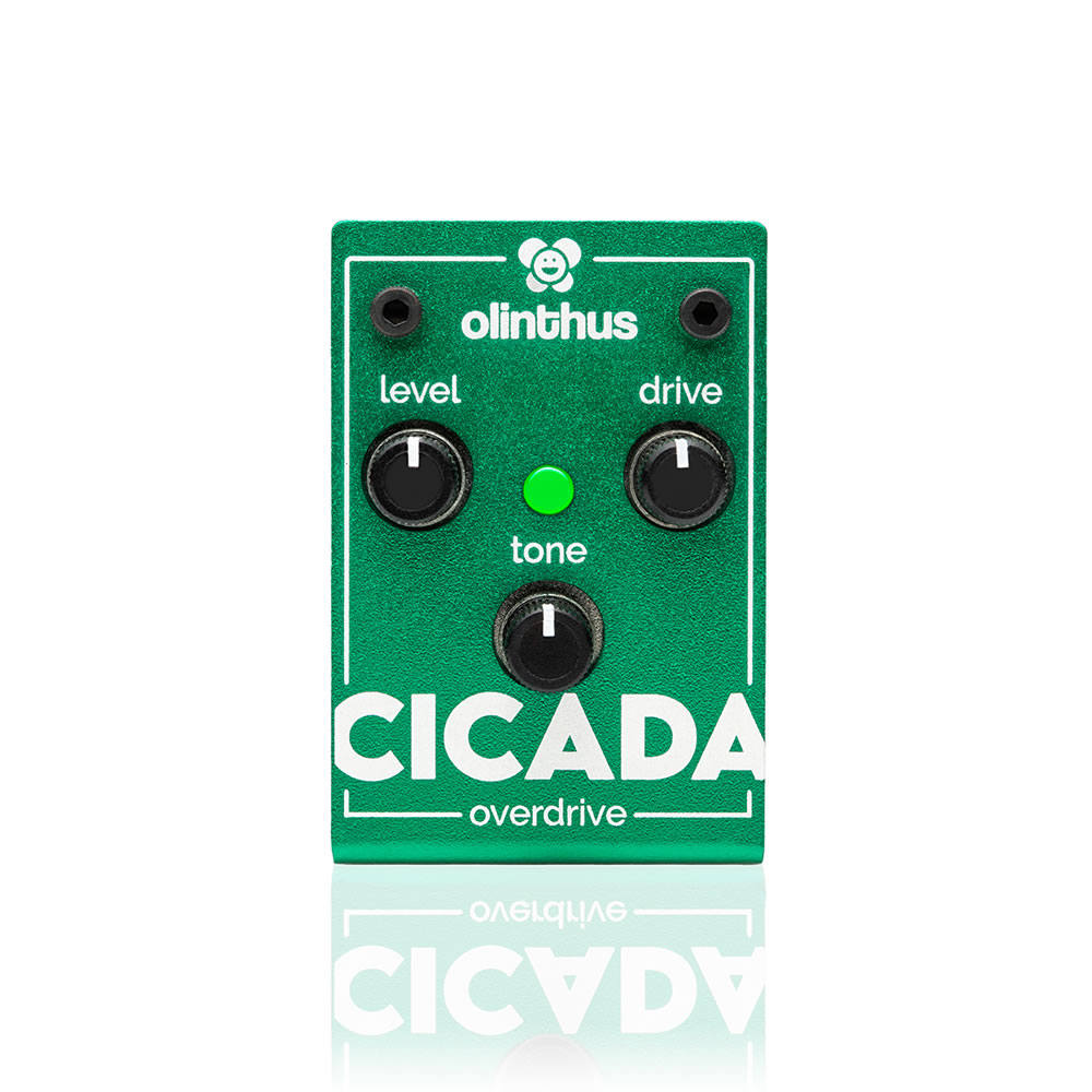 エフェクター Olinthus CICADA 超小型エフェクター オーバードライブ Over Drive オリンタス シカーダ