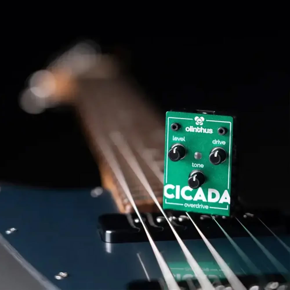 エフェクター Olinthus CICADA 超小型エフェクター オーバードライブ Over Drive オリンタス シカーダ イメージ画像1