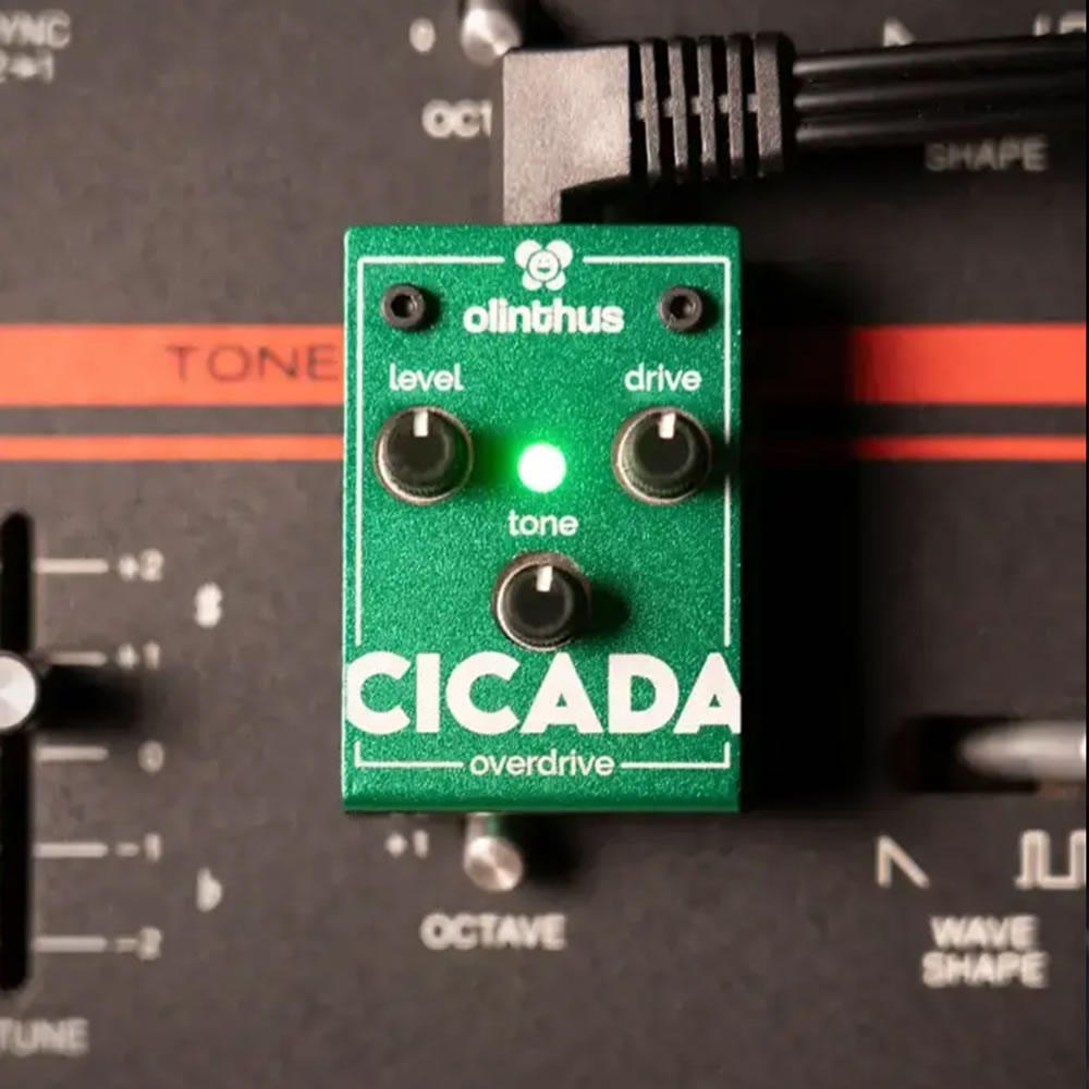 エフェクター Olinthus CICADA 超小型エフェクター オーバードライブ Over Drive オリンタス シカーダ イメージ画像2